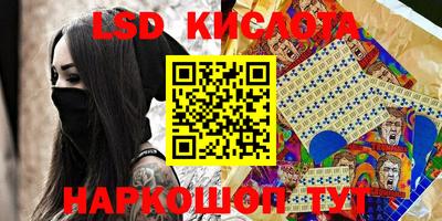 прущие грибы Рыбинск
