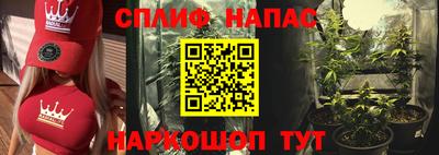 ГАЛЛЮЦИНОГЕННЫЕ ГРИБЫ Свободный