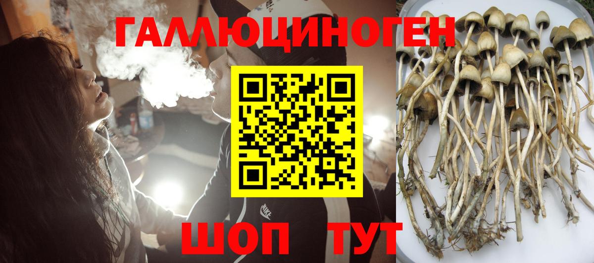 Петропавловск-Камчатский  Галлюциногенные грибы MAGIC MUSHROOMS  Вход с VPN  Псилоцибиновые грибы мухоморы 