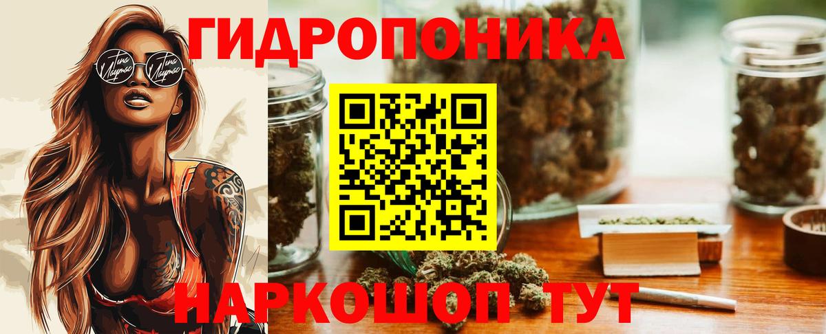 Шишки марихуана гибрид Петропавловск-Камчатский